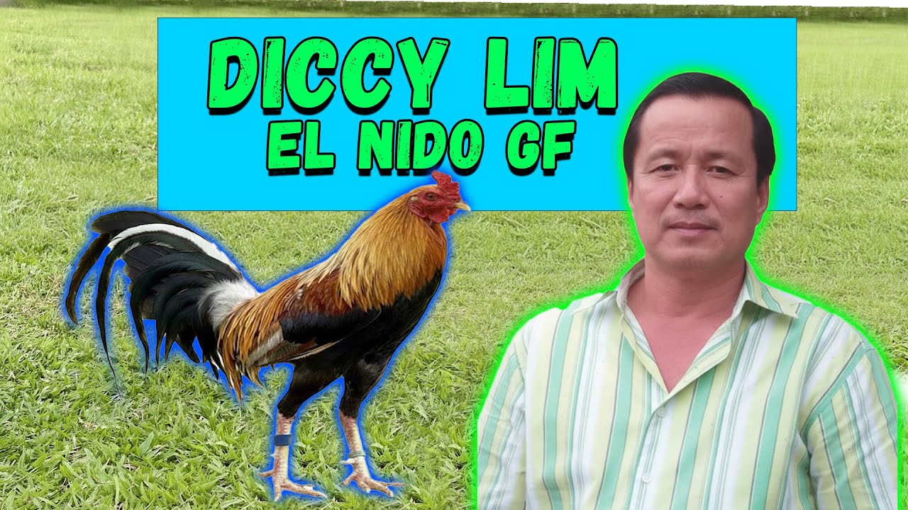 Bakbakan Na! Diccy Lim