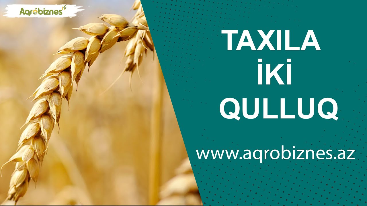 Alaqlarla mübarizə, kökdənkənar yemləmə