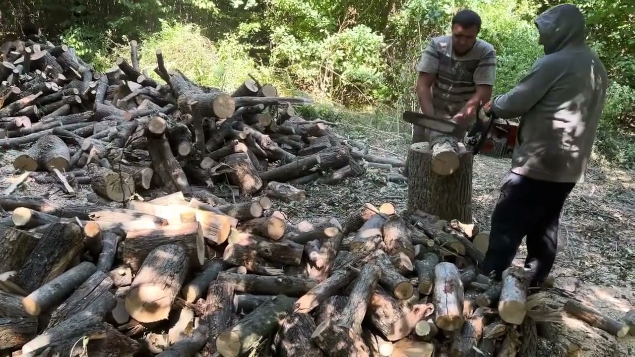 Dangerous Work with Stihl 💥 Cutting, Splitting, Stacking