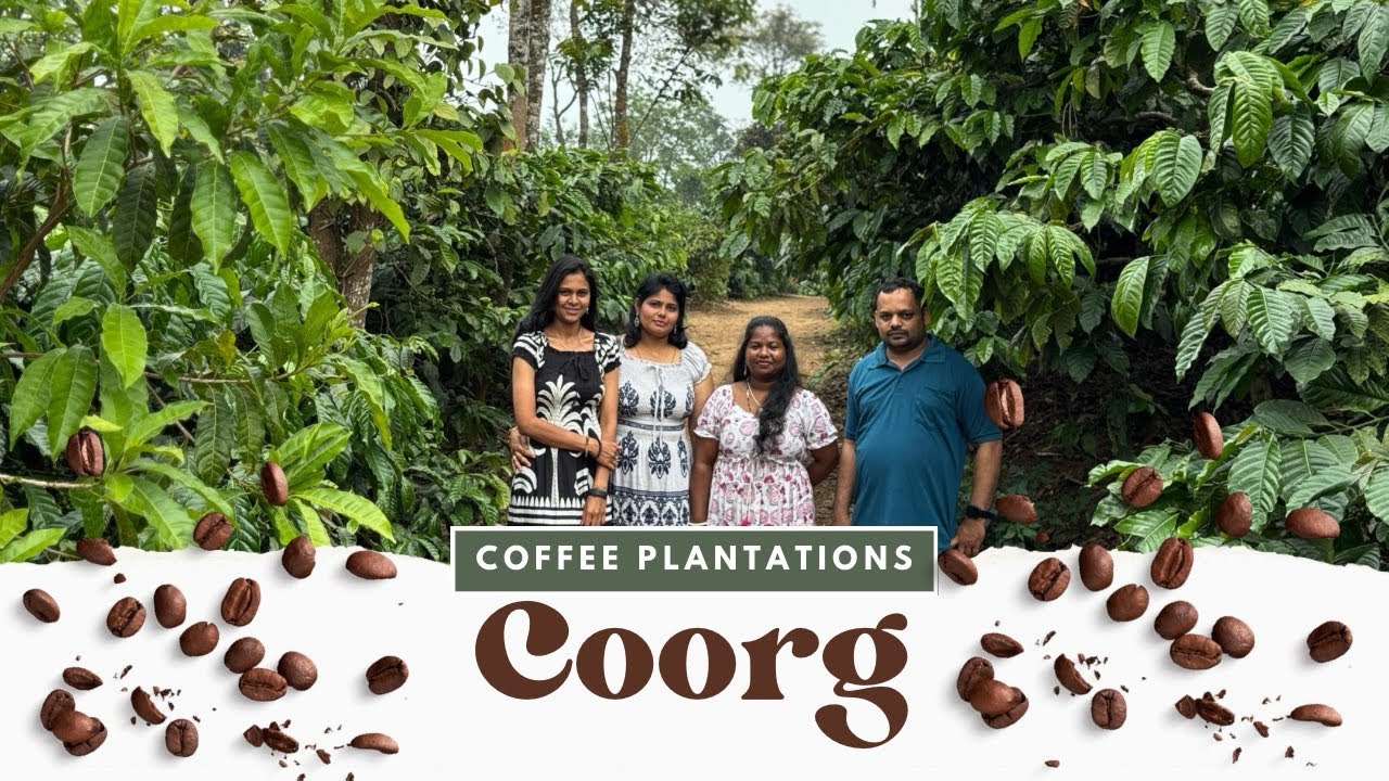 Coffee Plantations Near Madikeri | Mountain View Coffee Estate Friends Travel Vlog | coffee vlog