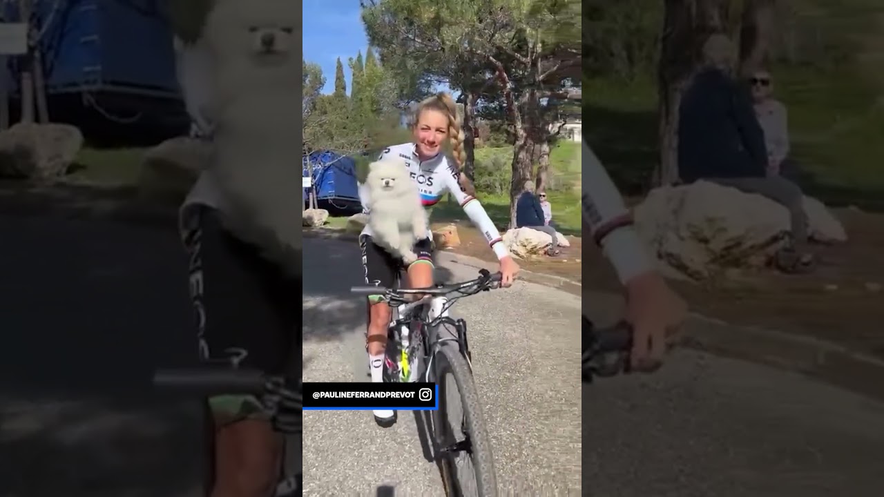 Pauline Ferrand-Prevot&rsquo;s travel buddy is better than yours 🐶 #dogs #cycling #mtb