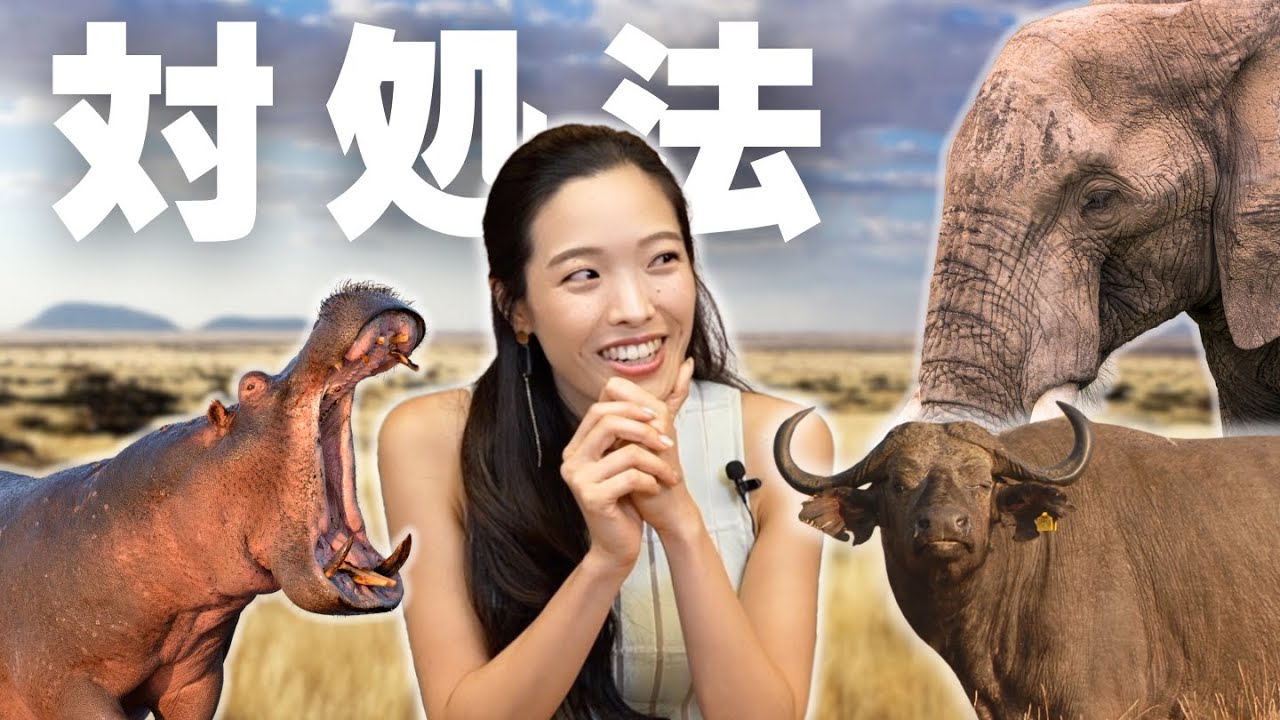 サバンナで動物に遭遇した時の対処法【ウォーキングサファリ】