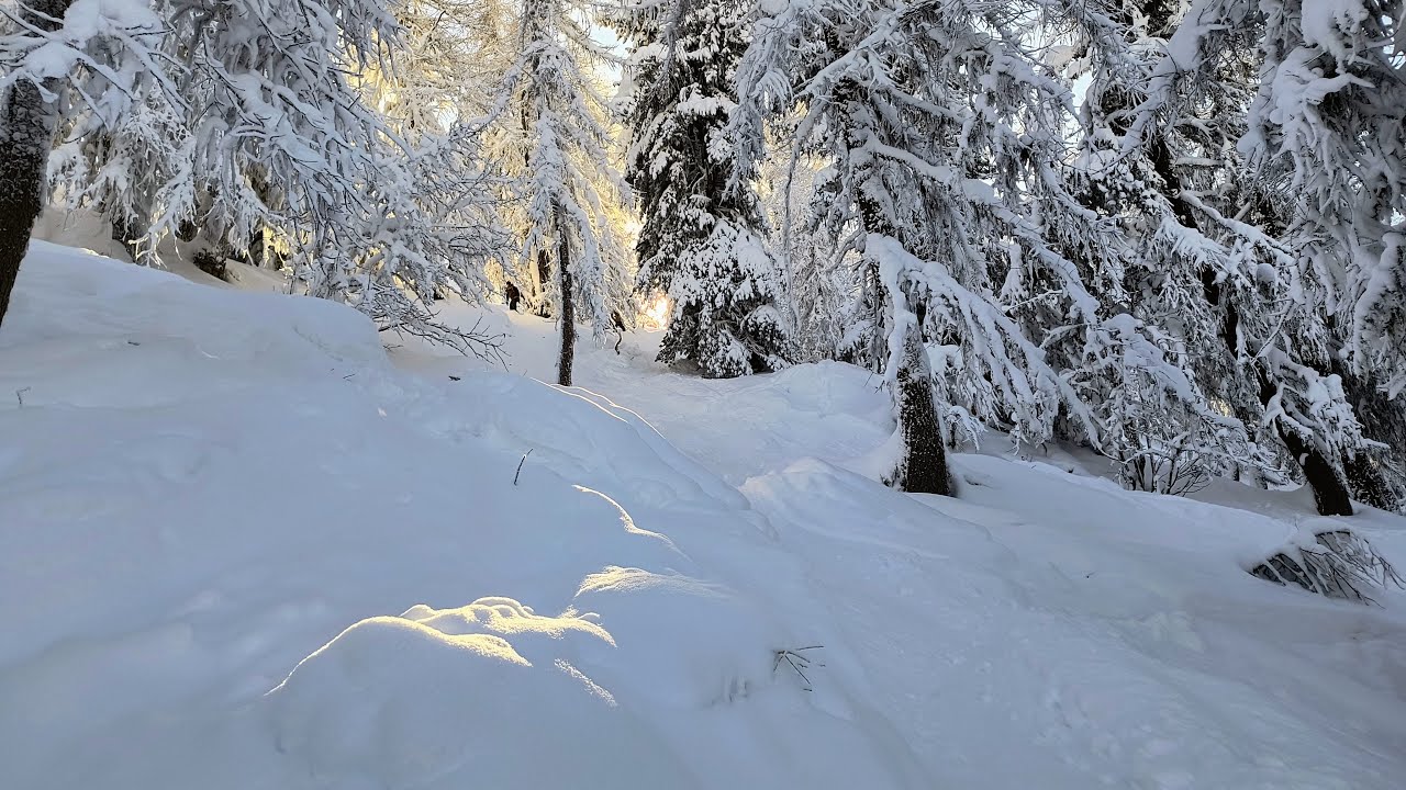 Powdertothepeople2026Vallandry