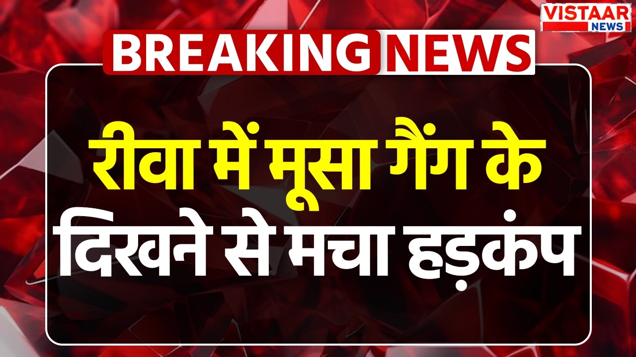 Breaking: रीवा में मूसा गैंग के दिखने से मचा हड़कंप | Rewa News | MP News