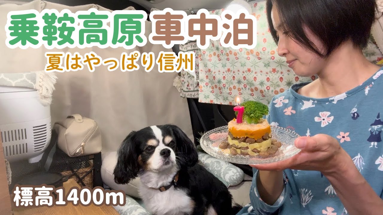 穴場の高原で誕生日を祝う50代看護師と犬1匹。乗鞍高原で車中泊。乗鞍高原温泉美鈴荘/三本滝トレッキング/一ノ日