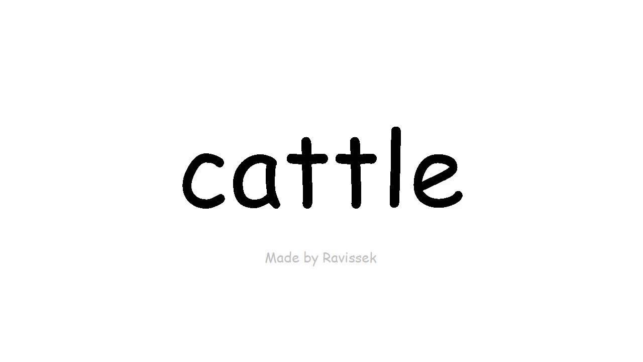 Argibide English   ganadua