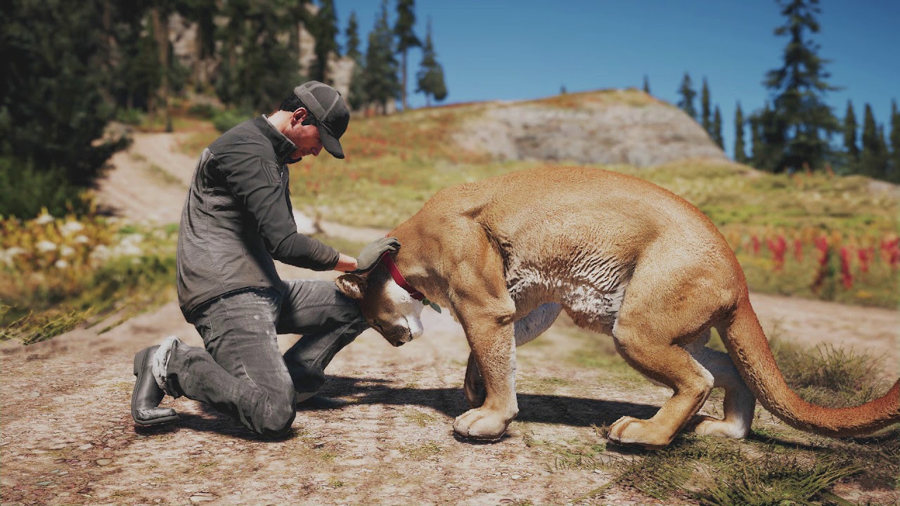 Comments [Peaches] | Far Cry 5