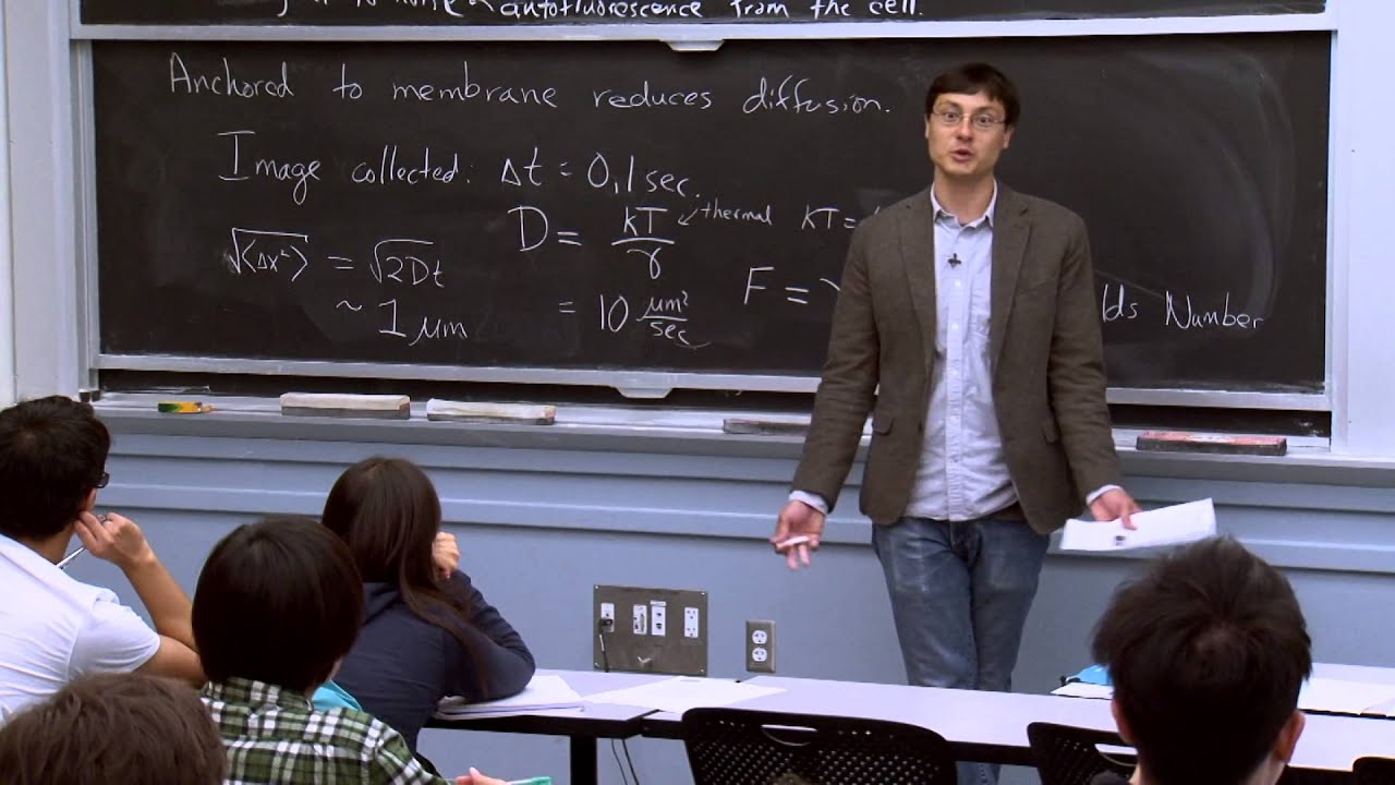 Introduction to Stochastic Gene Expression