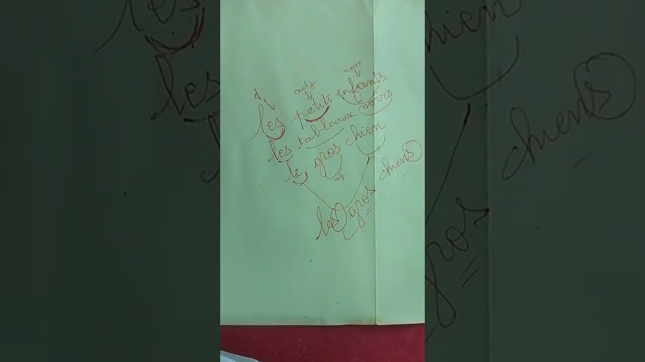 Le trésor des Mots page 32. L'accord dans le groupe nominal (1)