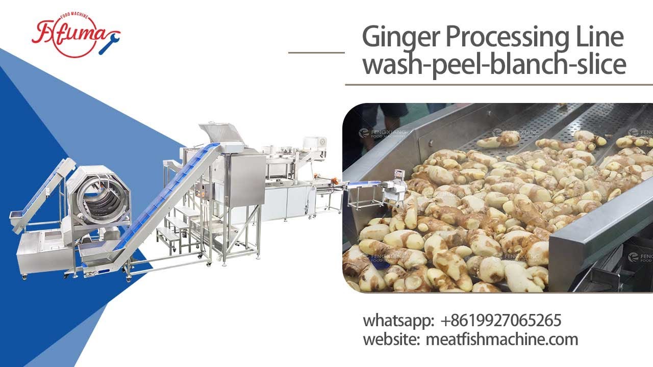Successful Delivery of Customized Ginger Processing Production Line for Togo Client
