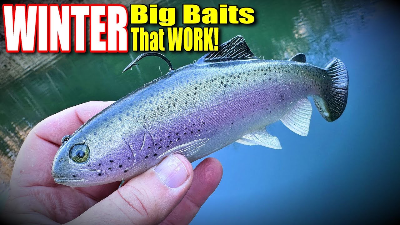 BIG Winter Bass Eat BIG Winter Baits