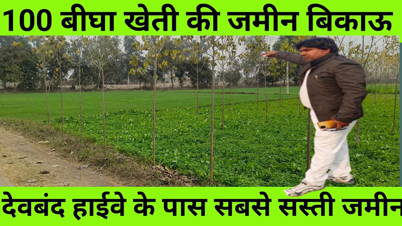100 बीघा खेती की जमीन बिकाऊ है l देवबंद हाइवे के पास चौराहे की सबसे सस्ती जमीन 💯 l #property