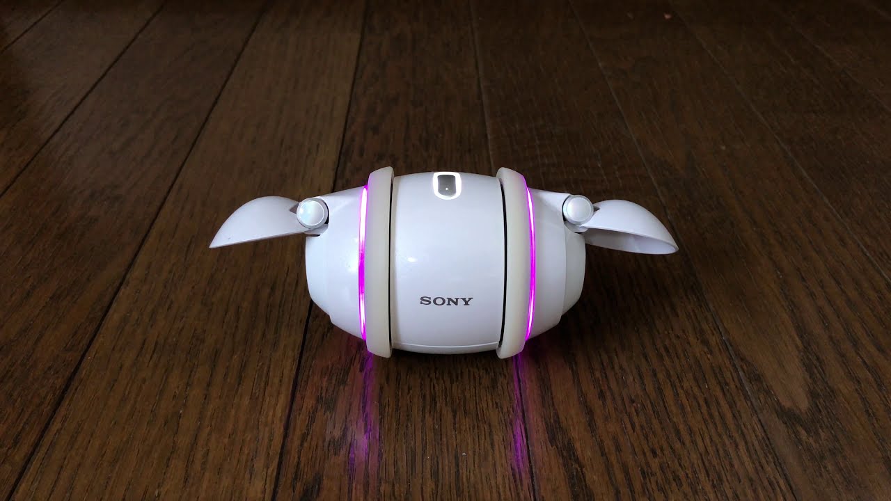 SONY Rolly SEP-50BT の動作確認の報告