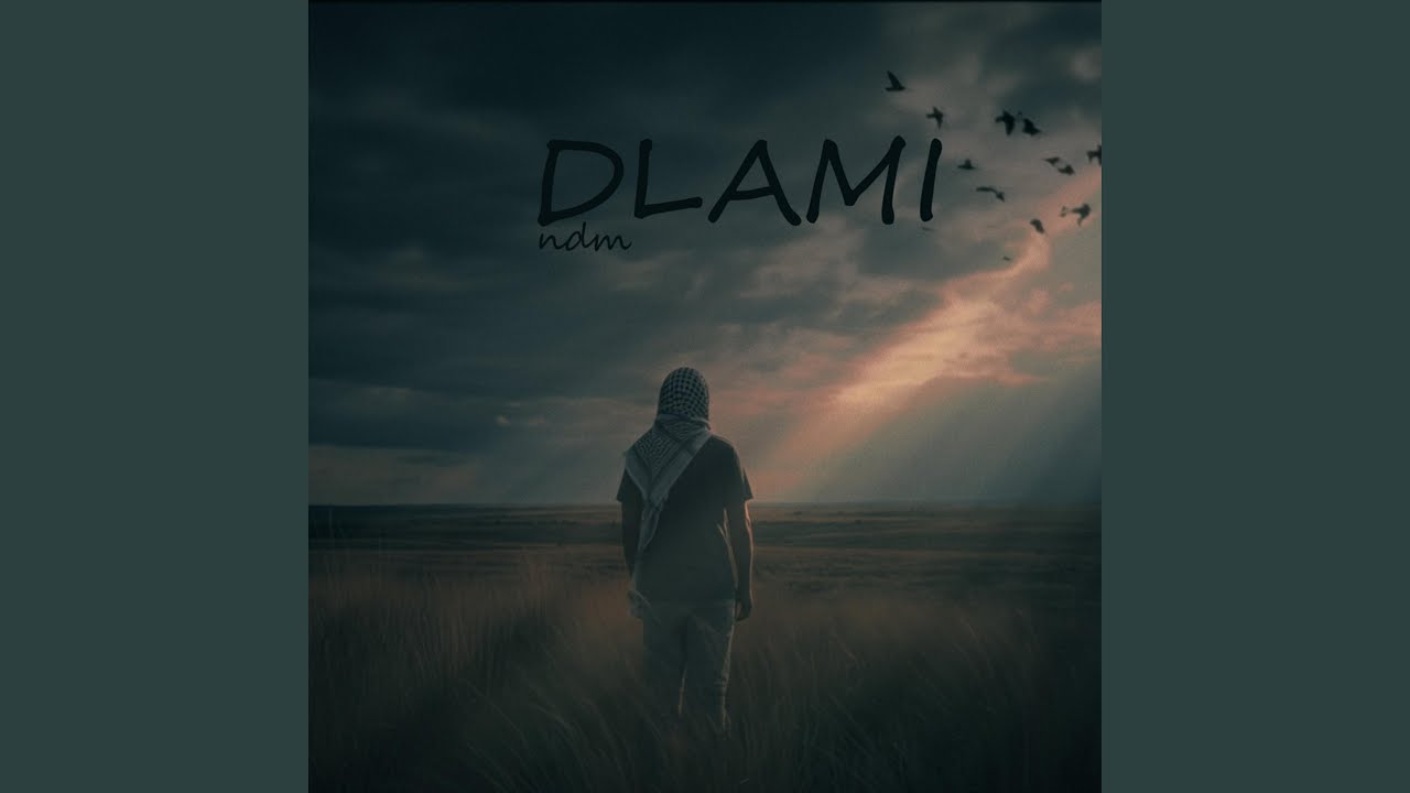 DLAMI