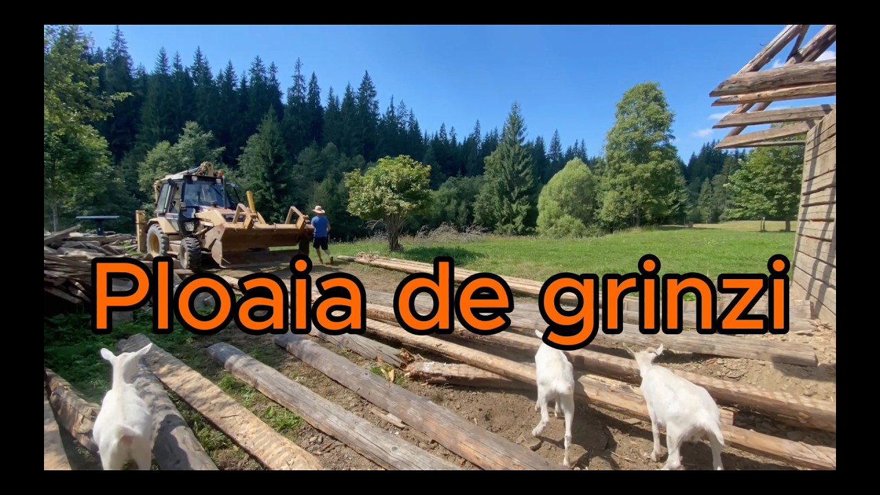 Scheletul casei. Ultima zi de demolari.  e44