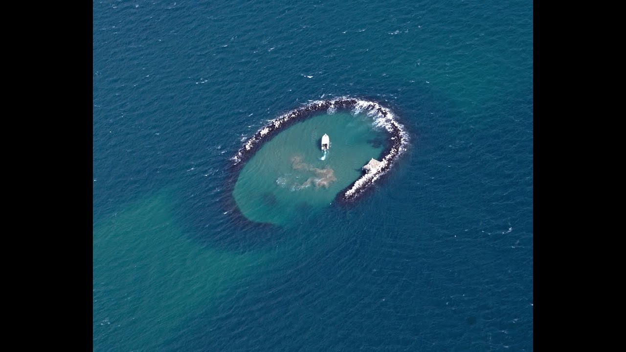 Snorkelling the Pope's Eye