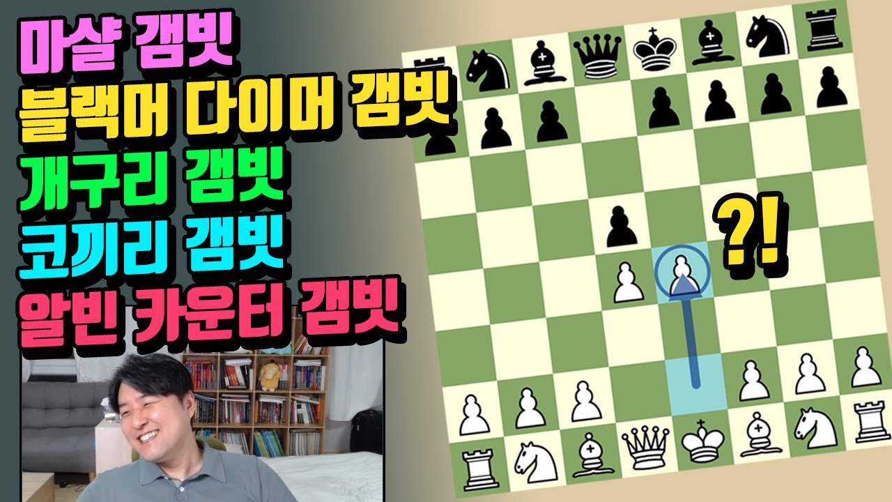 체스 유튜버의 폰을 주는대신 전개속도를 높이는 오프닝 전략 [갬빗 모음]