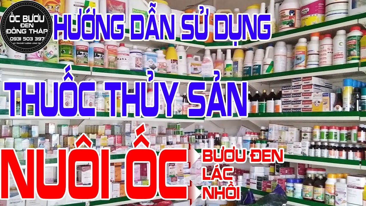 ✅ Hướng dẫn cách sử dụng các loại thuốc thủy sản ✅ Mô hình nuôi ốc bươu đen trong bể lót bạt