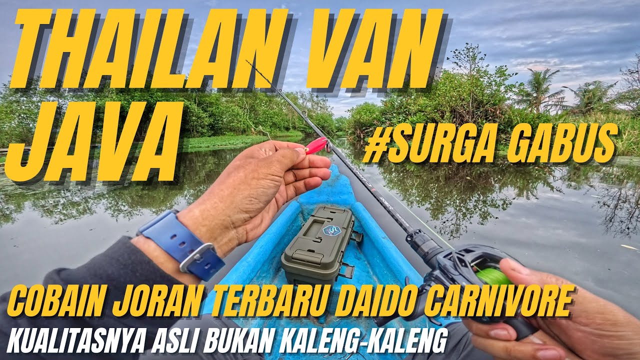 COBAIN JORAN TERBARU DAIDO CARNIVORE DI SPOT THAILAND VAN JAVA | PAGAK JATIMALANG PURWOREJO