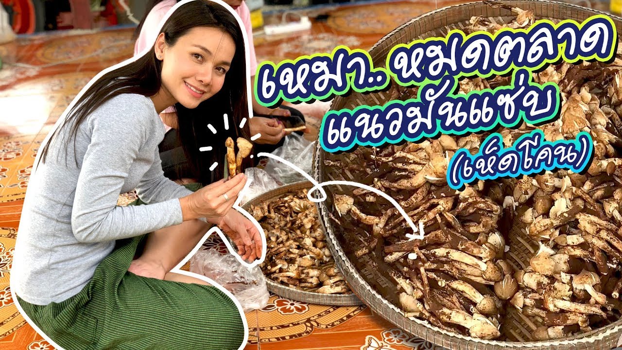 เหมา..หมดตลาด แนวมันแซ่บ(เห็ดโคน) - ต่าย อรทัย