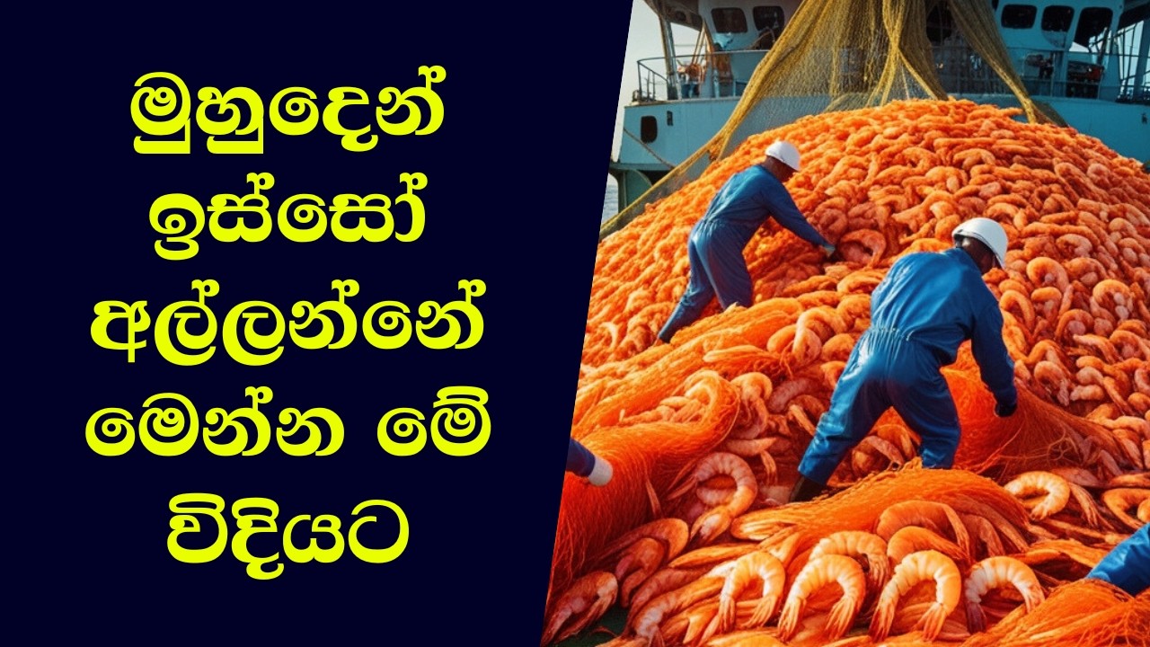 ඉස්සෝ අල්ලන විදිය සහ කර්මාන්තශාලාවන්වල හදන විදිය