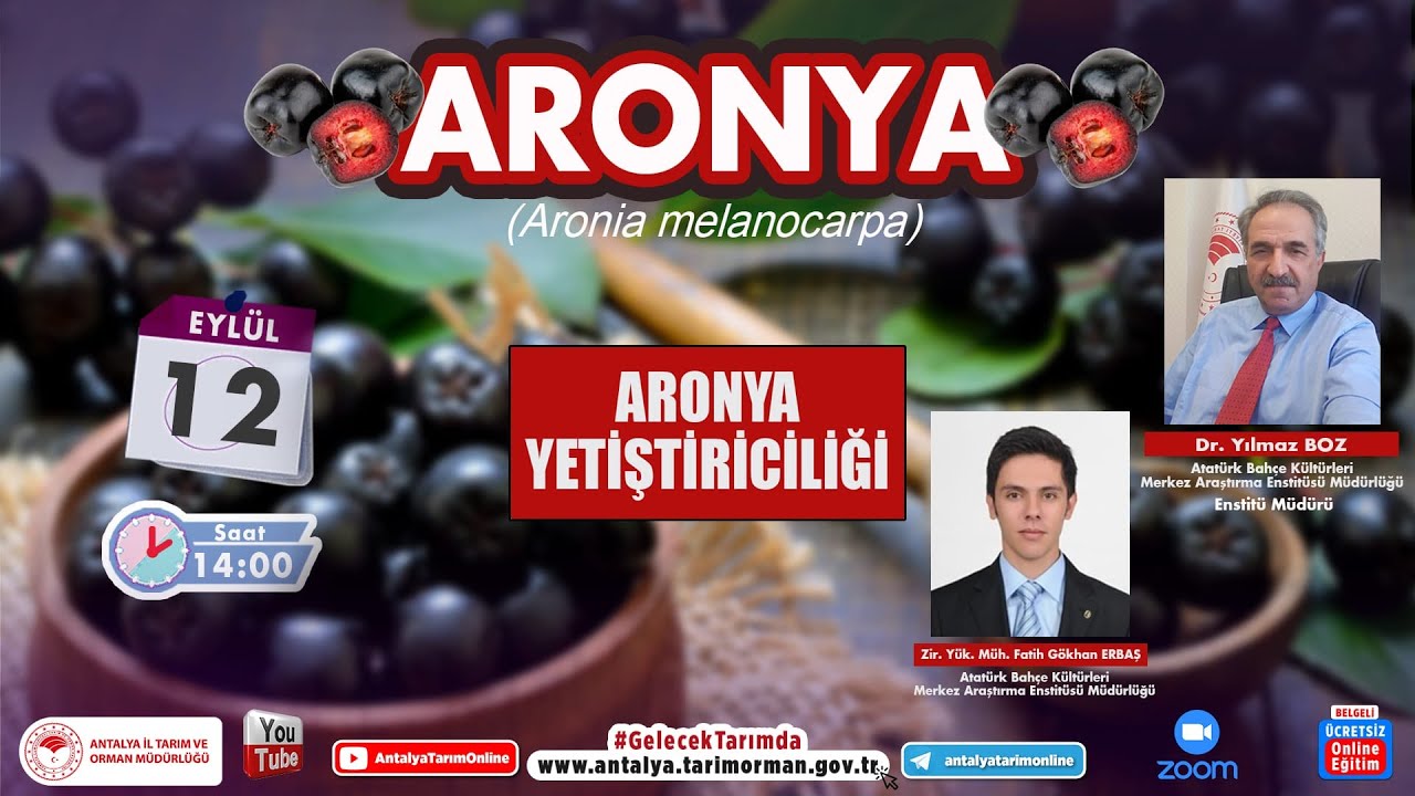 ARONYA- Aronya Yetiştiriciliği 1 Dr. Yılmaz Boz- Ziraat Yüksek Mühendisi Fatih Gökhan Erbaş