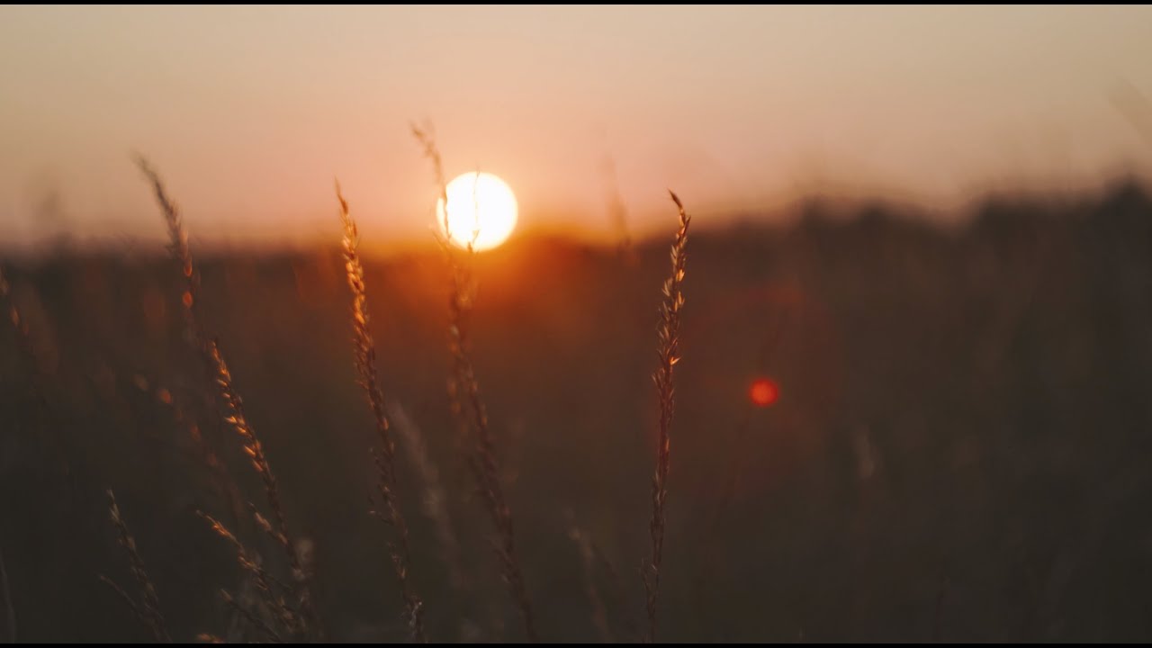 Fields - Lumix S5II + Helios 44-2 (Cinematic Test Footage)