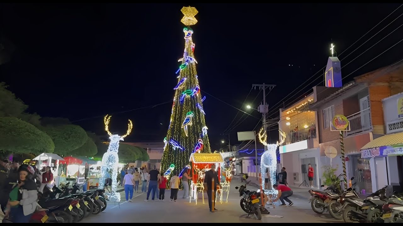 ALUMBRADO NAVIDEÑO 2025 I ZARZAL Y BUGALAGRANDE