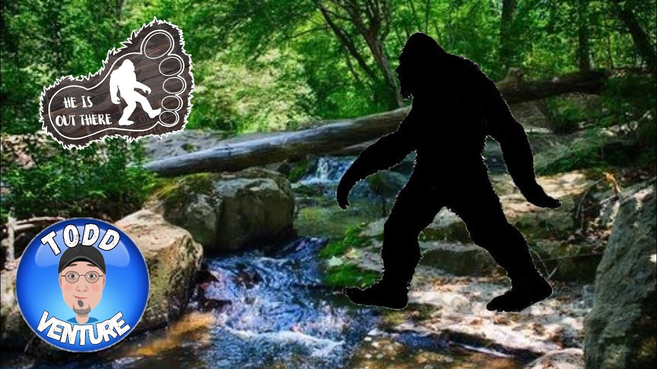 Sasquatch | Morrow Mountain State Park