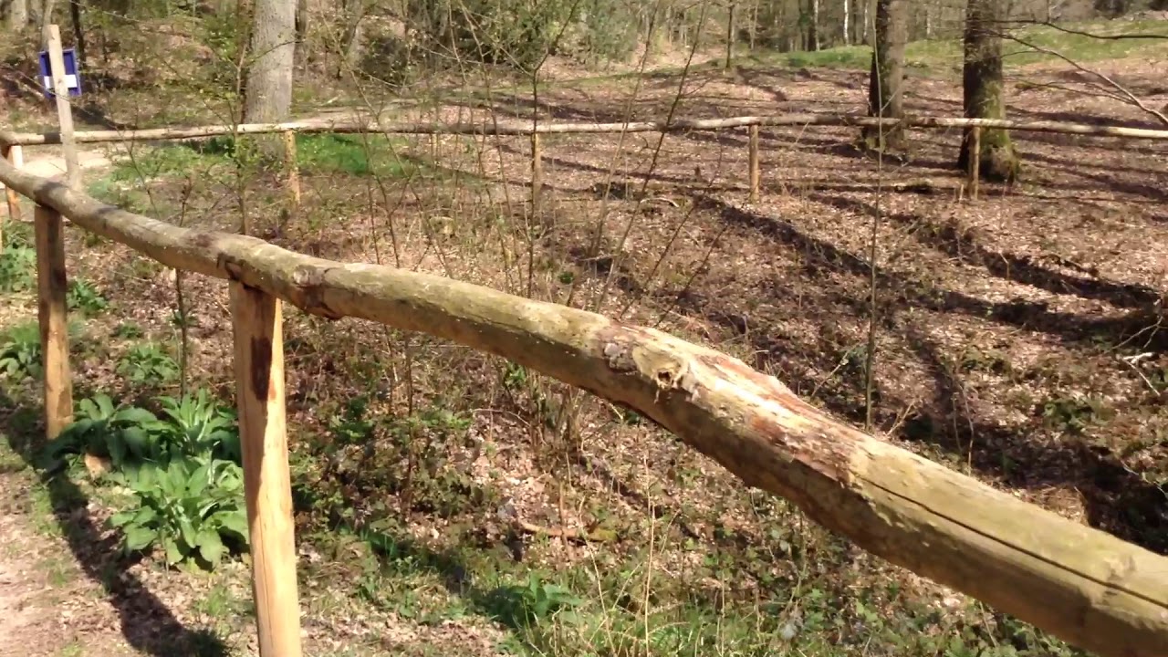 De Sprung in het Bergherbos.