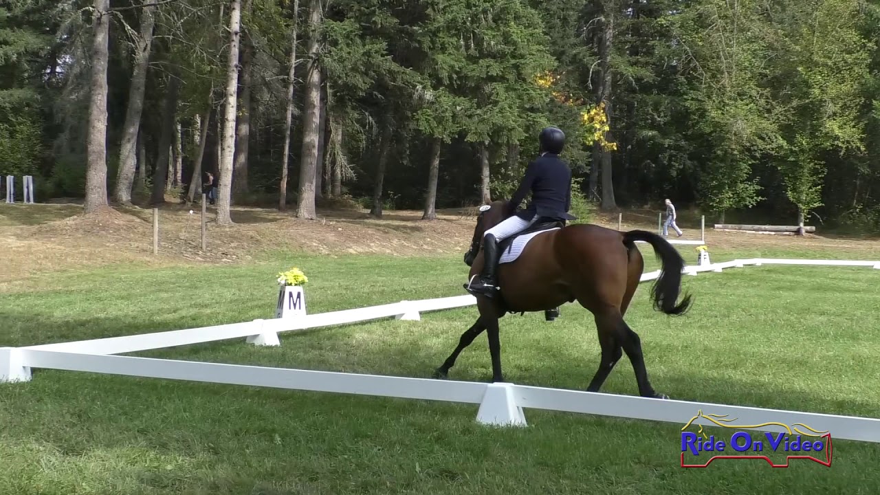 138D Samantha Bergin on Rainland Gabriel Open Training Dressage Aspen Farms September 2019