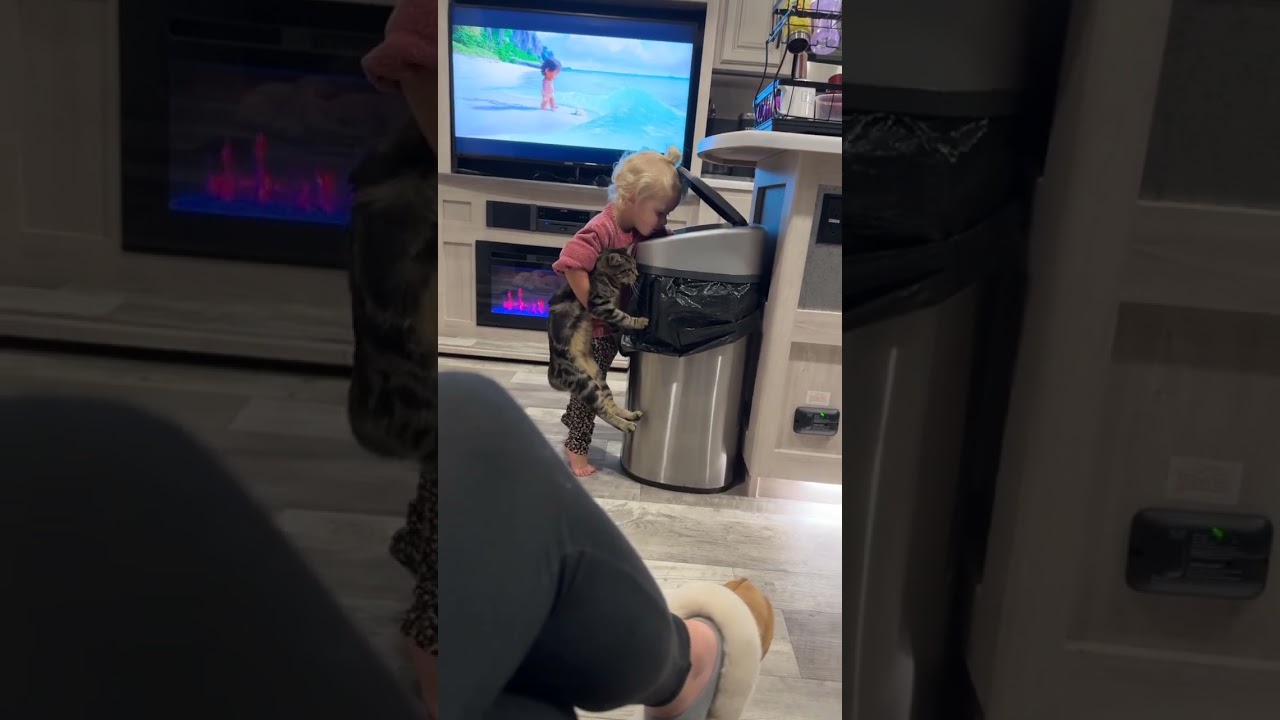 Girl throws cat in a trash can #shorts #short #cat