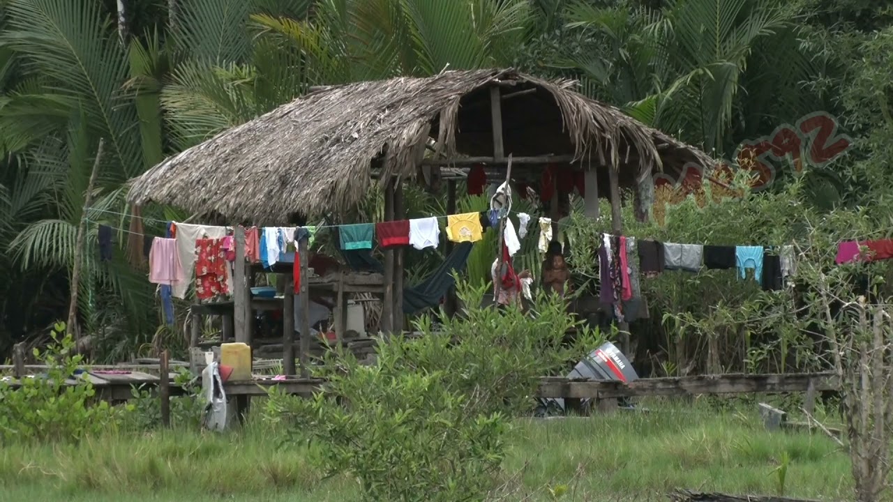 A short look a at Imbotero Reg 1 #guyana #guyanese #592