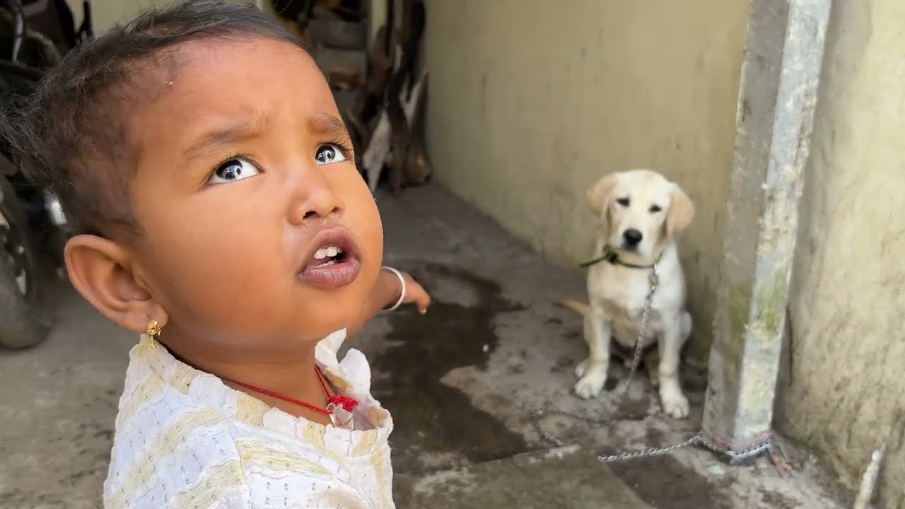 Kavya ne ghatli Simbha la Anghol 😍
