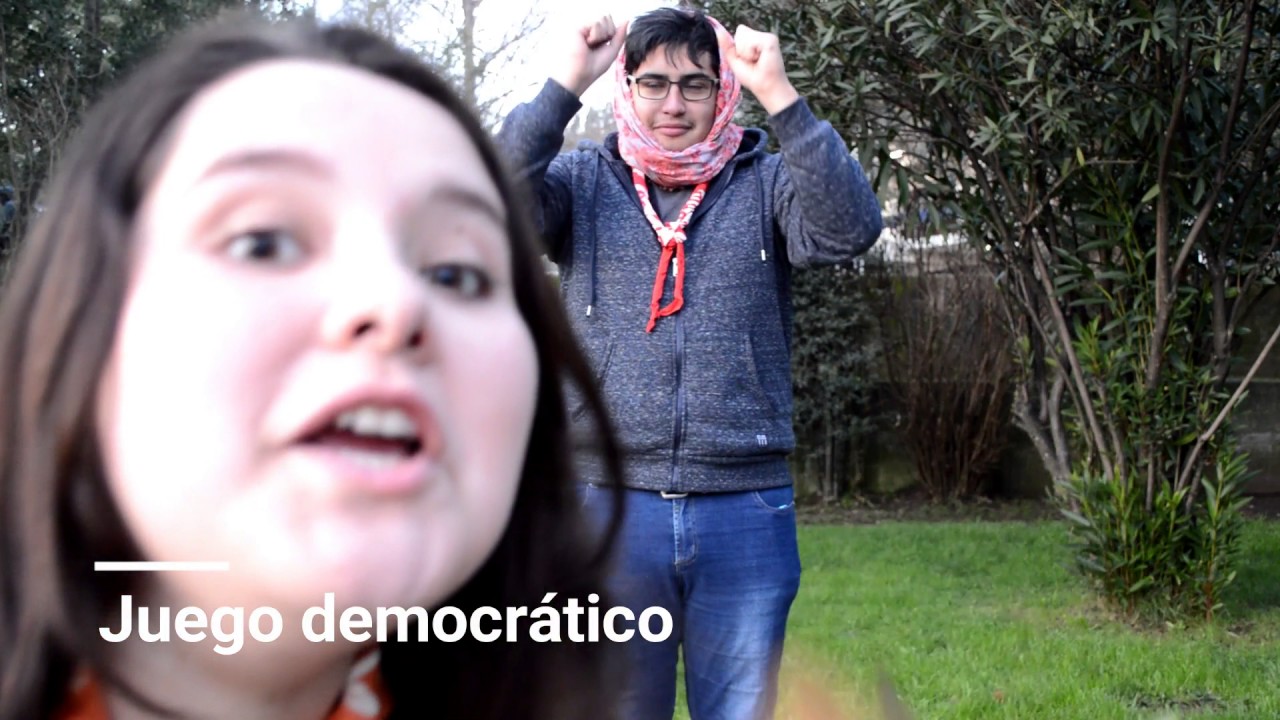 Fases del ciclo de programa / Rama Lobatos