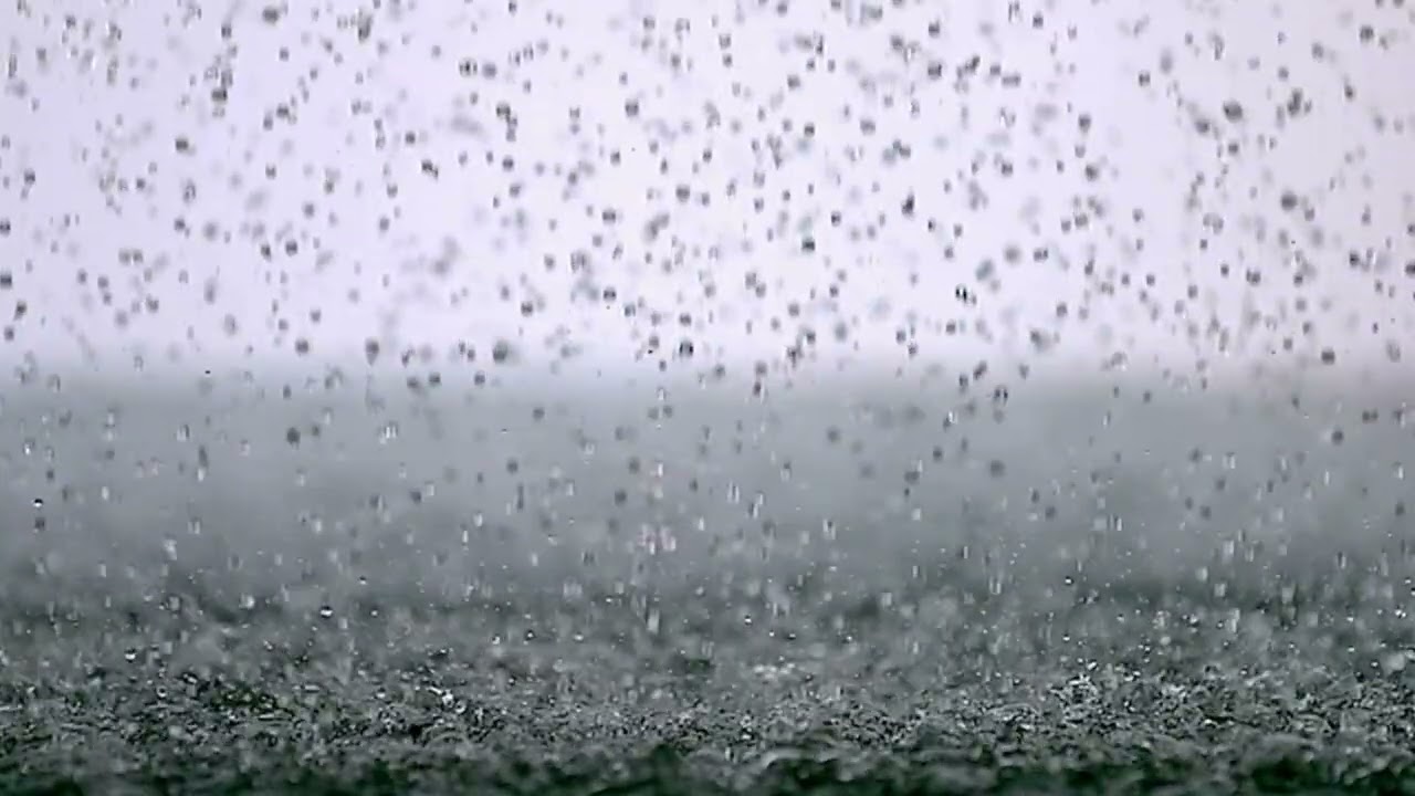 Refugio Eterno (Bajo Tus Alas, Señor)