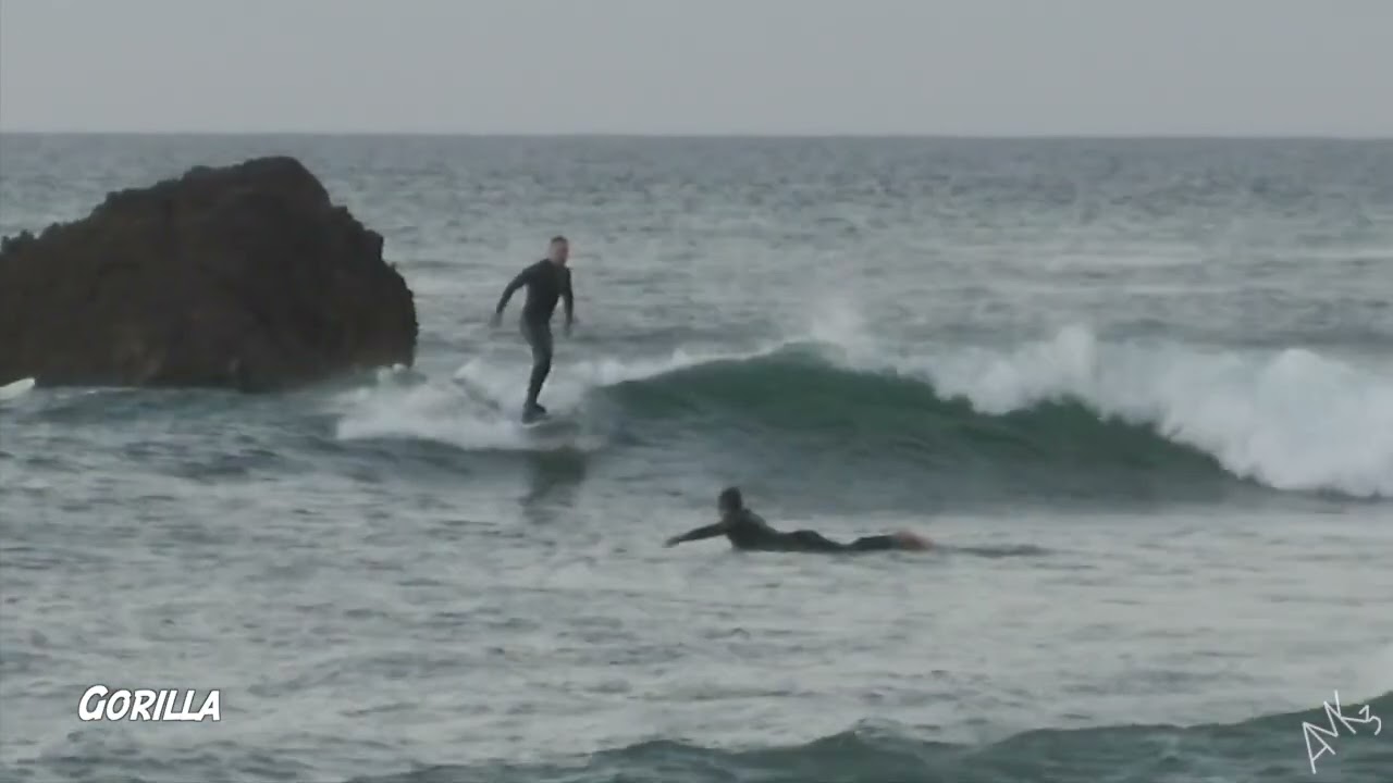 Valentine's Day Swell (2/14/26)