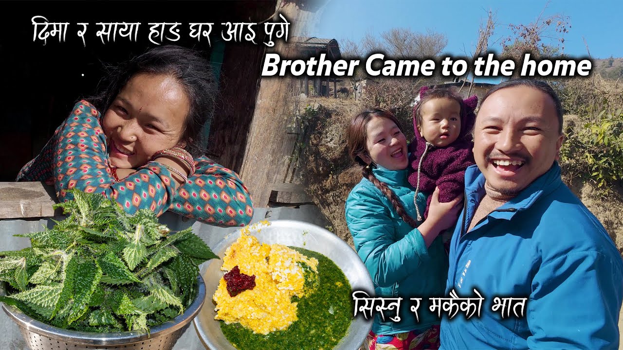 Finally Dima & Saya Hang Come to the Home | Nepali food Nettle Curry with Corn Rice Cooking & Eating