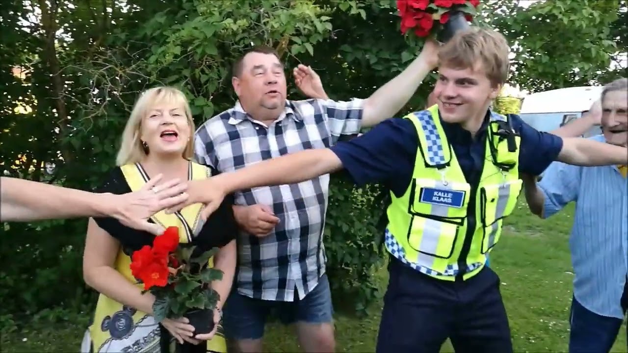 Rein Kaasik - Sinine vilkur .