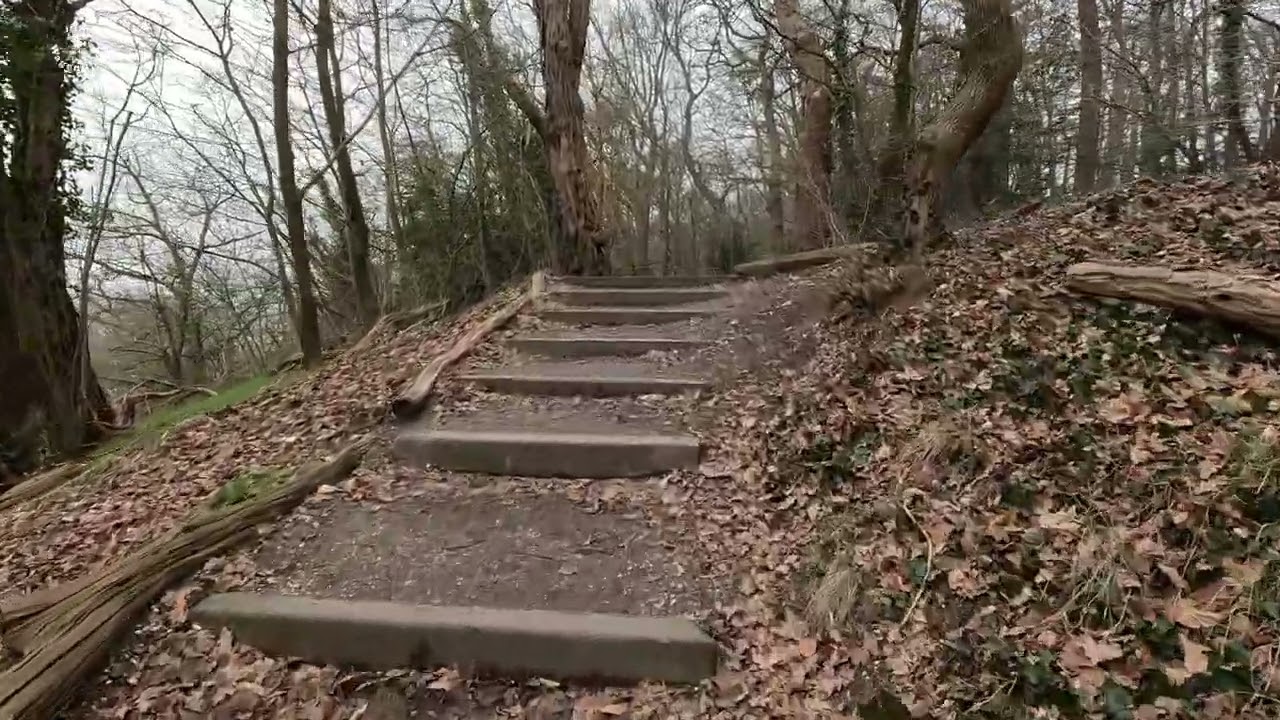 Wandeling van de  Veerstraat  naar de Dreijen