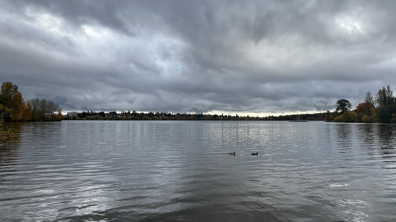 Green Lake Park Autumn Loop Walk | Seattle’s Most Scenic Urban Trail 4K 