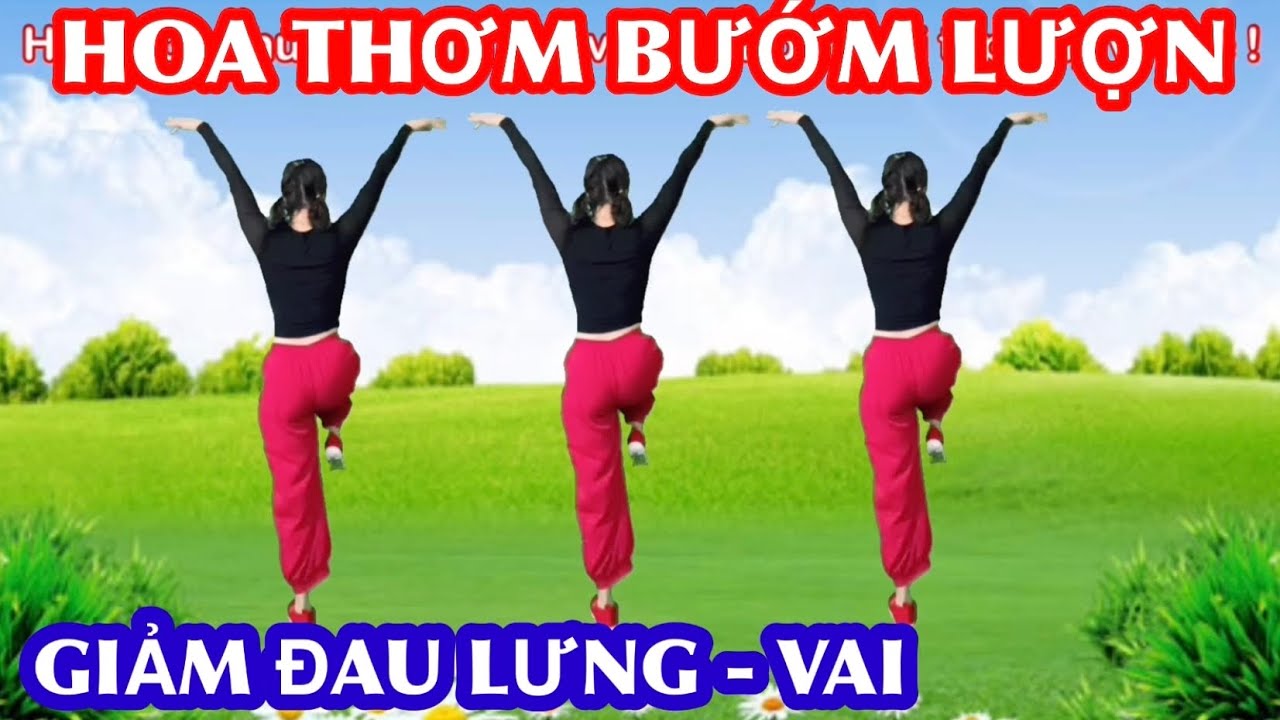 HOA THƠM BƯỚM LƯỢN / THỂ DỤC DƯỠNG SINH / BÀI TẬP NHẸ NHÀNG HIỆU QUẢ
