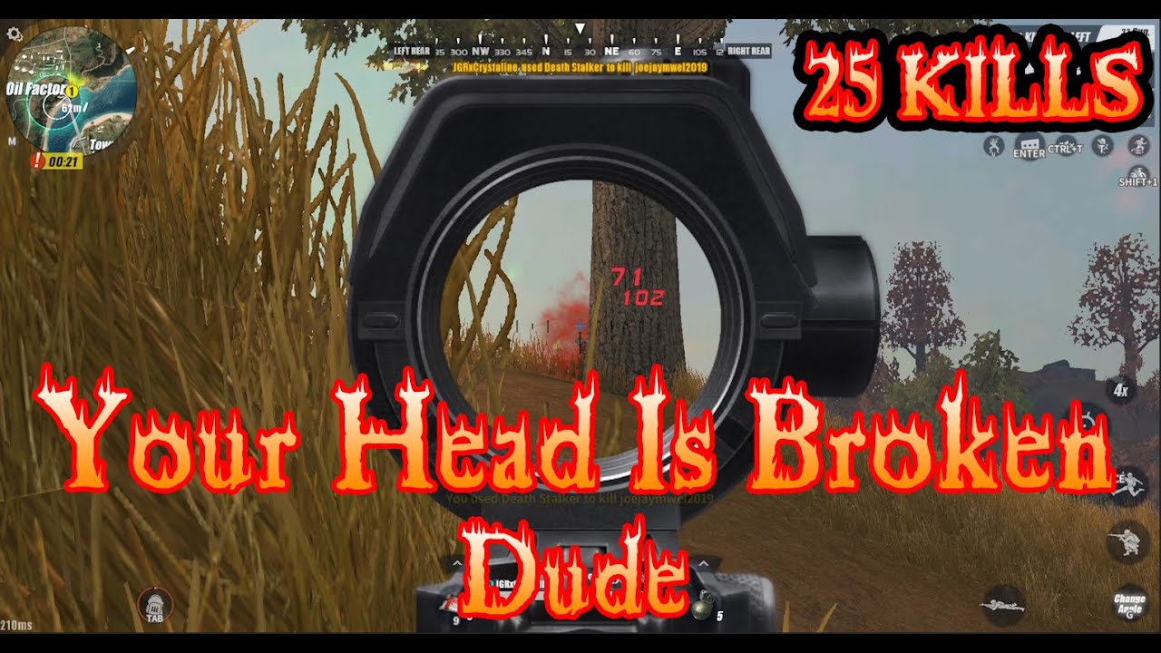 Solo Ranked 25 KILLS !!! [Rules Of Survival : Ranked Fearless Fiord]