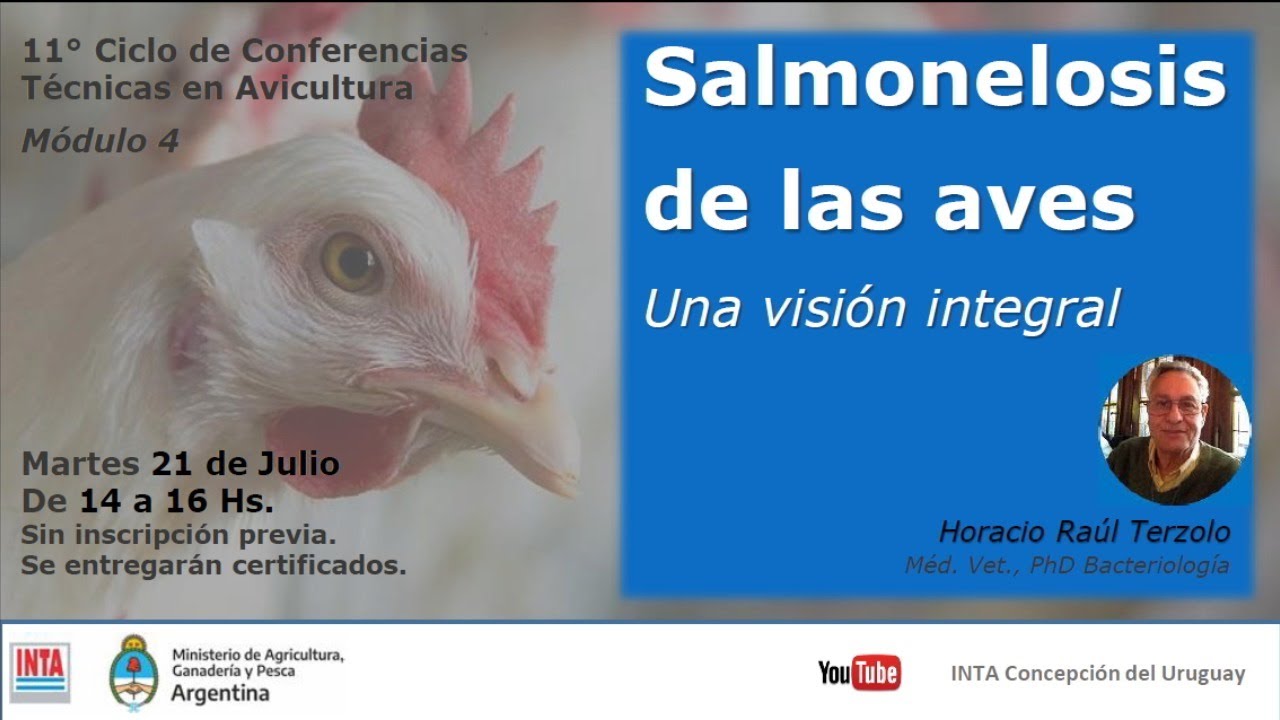 Salmonelosis de las aves: Una visión integral