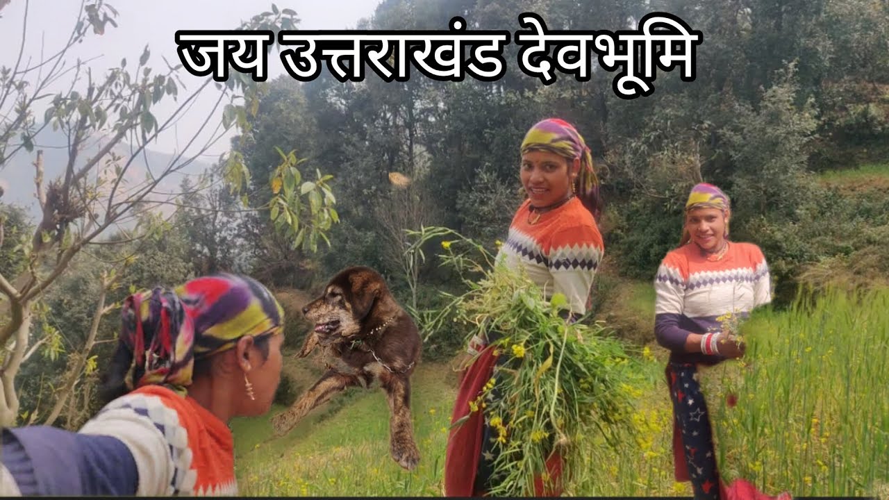 अचानक हुआ जानवर से आमना सामना 😲🥲