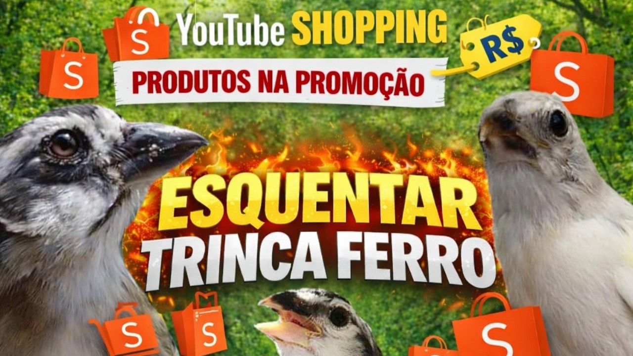 ESQUENTAR TRINCA FERRO LEVANTA CANTO