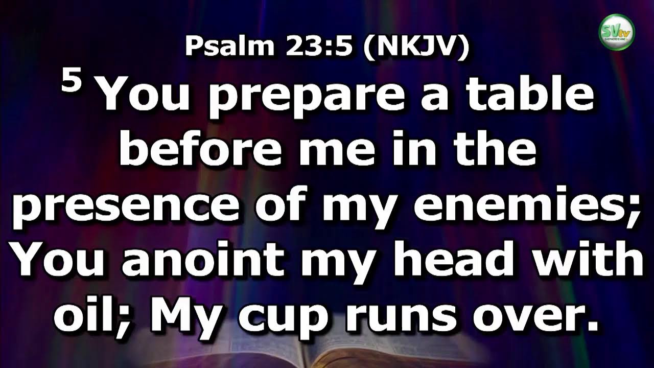 DAYSPRING 26. --DAY 2-- 6-02-2026