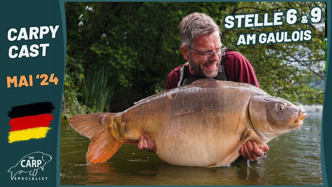 Live von Stelle 6 & 9 am Gaulois - Carpy Cast Mai 2024 mit vielen dicken Fischen 🎣🇫🇷