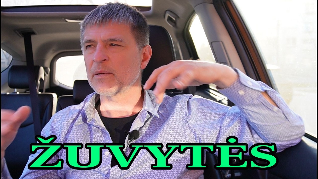 Avys seka piemenį, nes atpažįsta jo balsą ir pasitiki juo