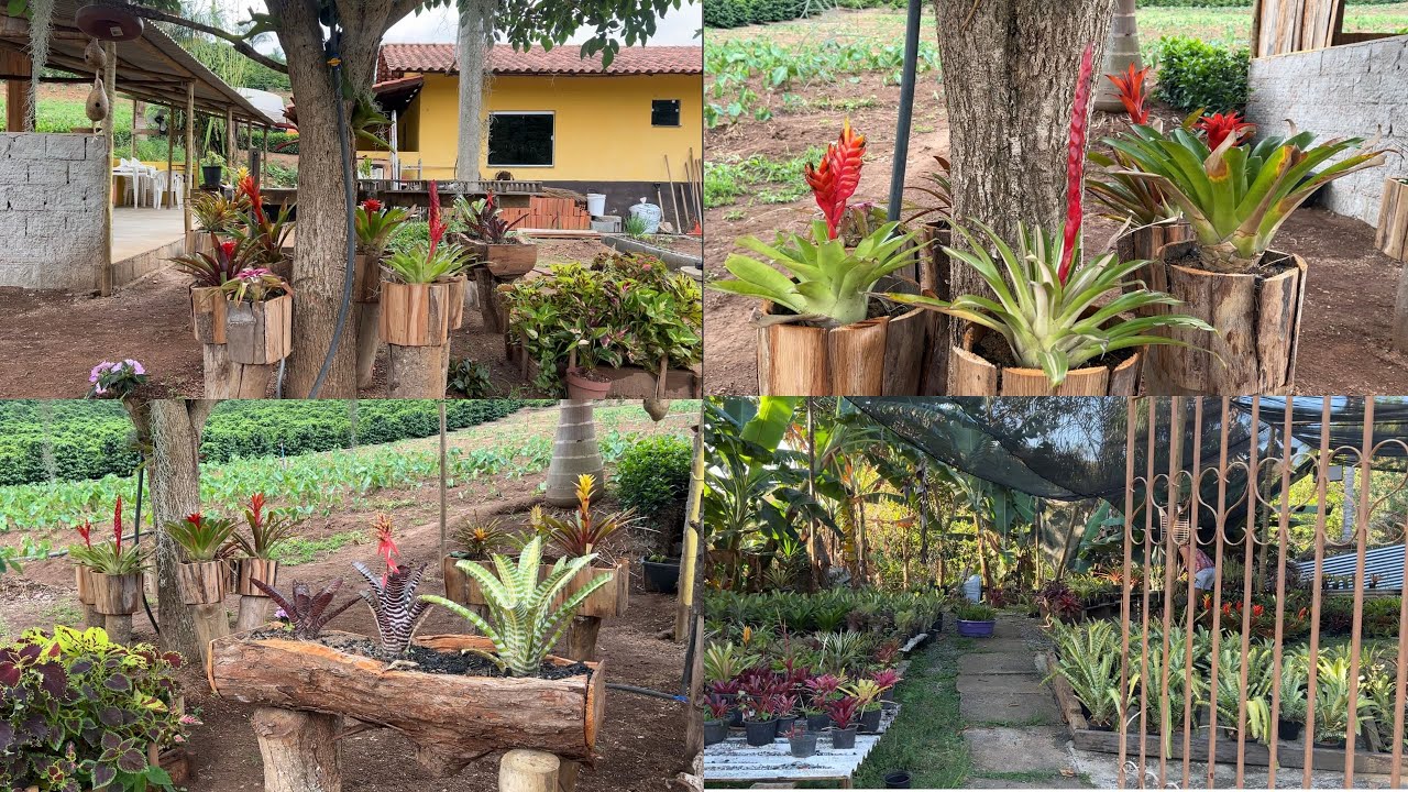 MAIS UM CANTINHO BONITO, FIZ OS CACHEPÓS PARA COLOCAR AS BROMÉLIAS.
